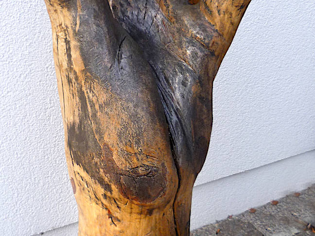 RINGPARABEL VON LESSING HOLZSKULPTUR – 1,00 METER HOCH